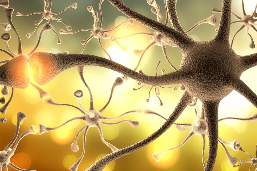 MS breakthrough: A novel stem cells treatment gives hope to multiple sclerosis patients MS breakthrough: A novel stem cells treatment gives hope to multiple sclerosis patients