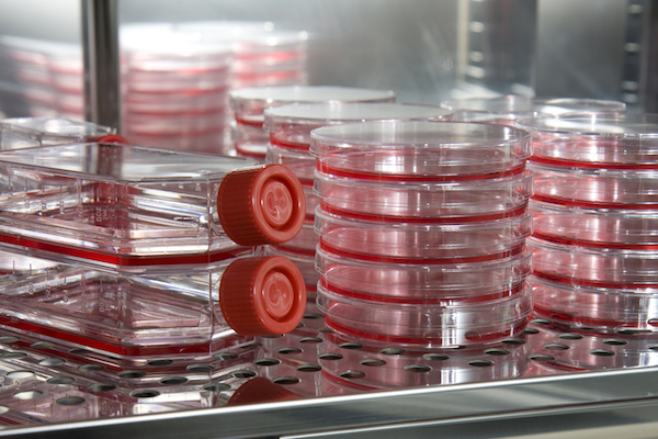 Photo of CReATe Cord Blood & Peristem Cell Bank facilities