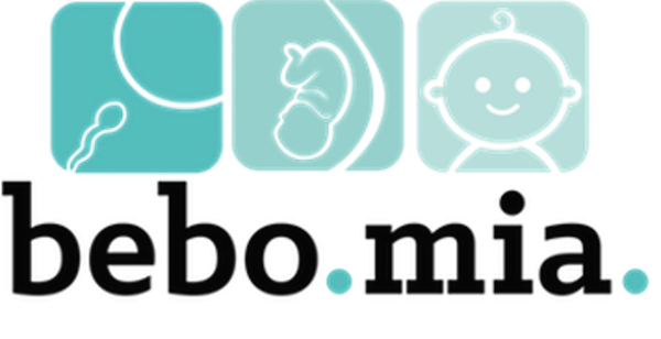 Bebo Mia logo